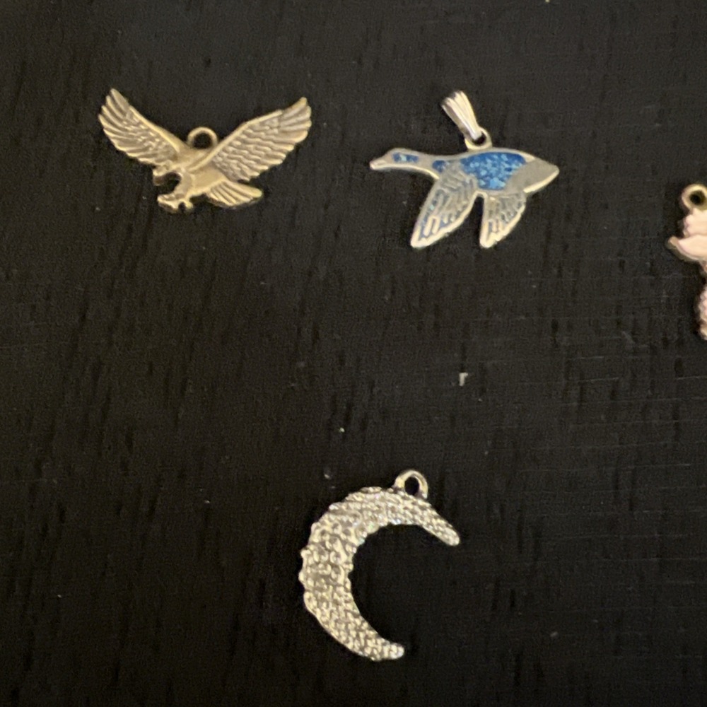 Mixed Charm Lot Jewelry Animals Beach Tropical Paris Fairy Cruise Ship Craft Lot - Picture 5 of 16